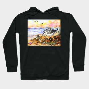 Sanderling and Ghost Crab Hoodie